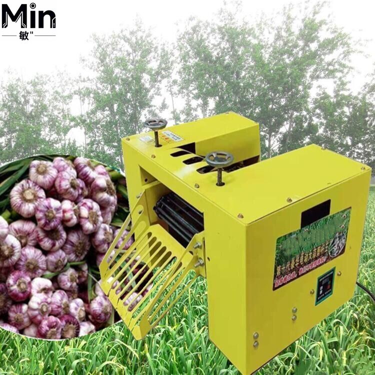 Farming Agriculture Business - Farm Onion & Garlic Root Stem