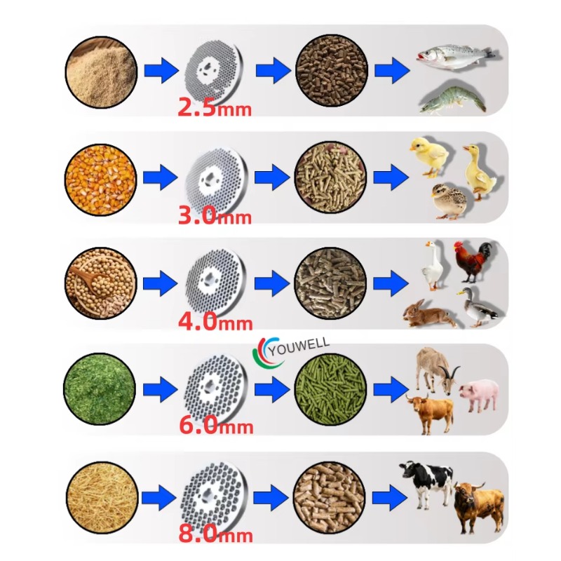 Durable Feed Pellet Machine Gr - Farming Is Part Of Agriculture review and price