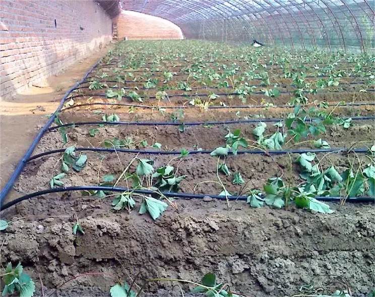 1HA Irrigation Kit Agricultura - Agriculture Farming Kit review and price