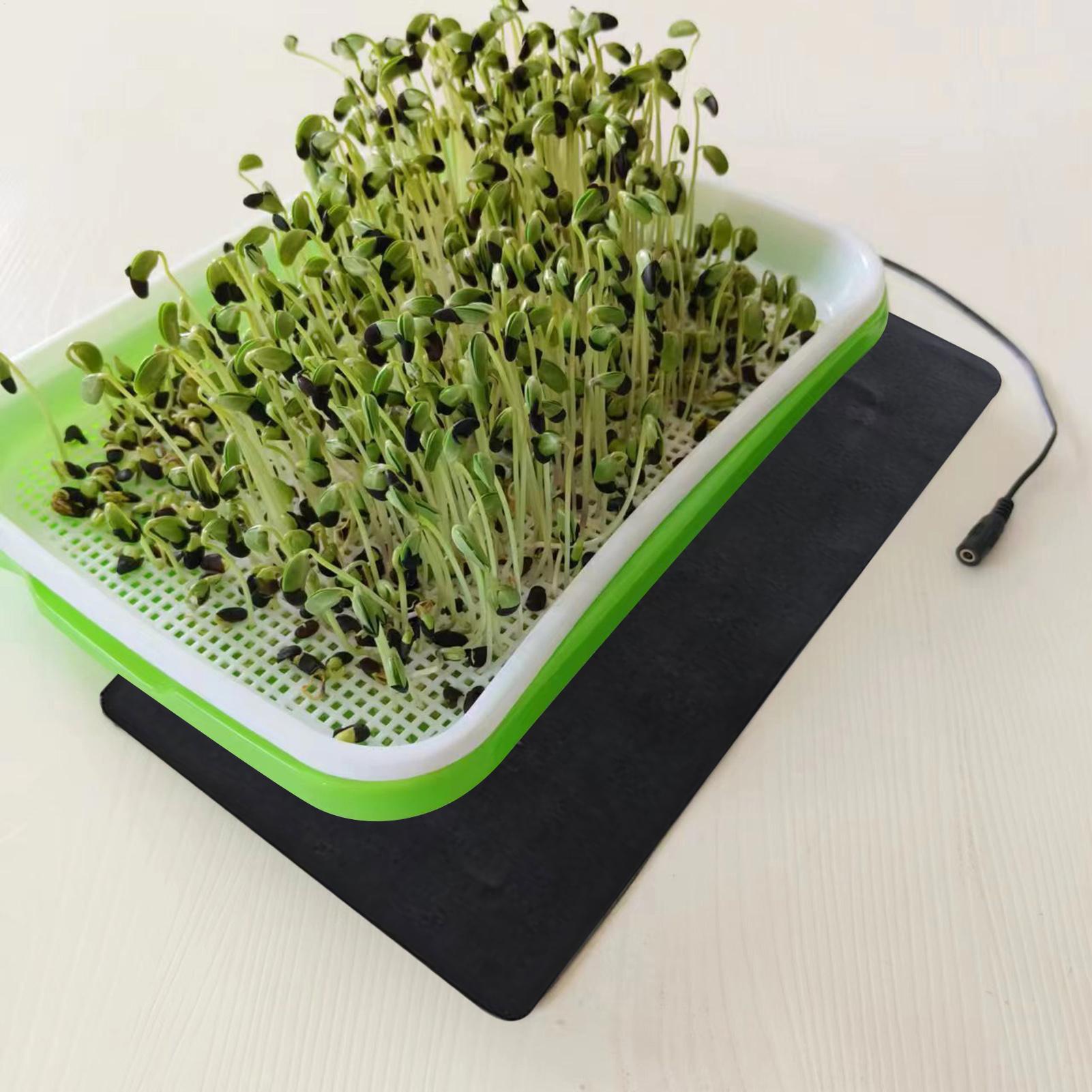 8.5W Seedling Heat Mat 5V 2A P - Seedling Heat Mat review and price